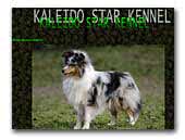 Kaleido Star