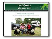 Kalnu suo  Bernese Mountain kennel