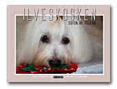 Ilveskosken Coton de Tulear