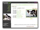 English Springer Spaniel kennel Rockdale