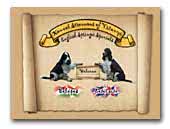 kennel Strenuous of Votanui English Springer Spaniel