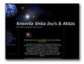 Knoxvila japanese shiba inus