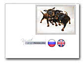 Russian Toy Terriers Kennel Konfeti