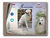 White Motion Kuvasz