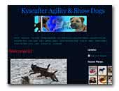 Kyscafter Agility & Show Dogs