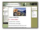 De la Fermette du Bonheur Elevage Dogue du Tibet