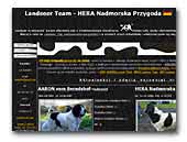 Landseer Team