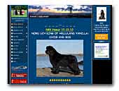 Lidabamsen Newfies