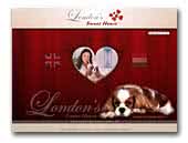 London's sweet heart Cavalier King Charles Spaniel