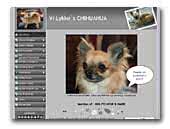 Vi Lykke's Chihuahua
