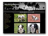 Majesticbulls old english bulldogs