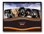 Tibetan Mastiff kennel Barnali