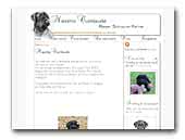 Maximo Cumlaude Schnauzer kennel