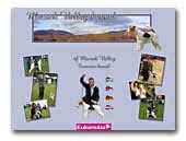 Foxterrier-wire of Mecsek Valley kennel