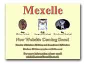 Mexelle Mexican Hairless & Chihuahua