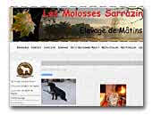 Les Molosses Sarrazins Elevage de Mâtins de Naples
