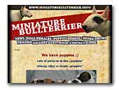 miniaturebullterrier.info
