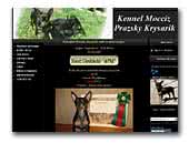 Kennel Mocciz - Prazsky Krysarik