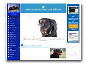 More Dreams Kennel