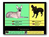 FCI/LKD kennel NAGLIS