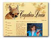 Carpathian Dream kennel