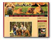 NilWorld Sharpei Kennel FCI