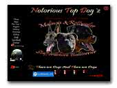 Notorious Top Dog'z