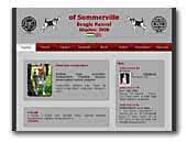 of Sommerville Beagle Kennel