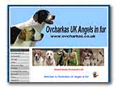 Ovcharkas UK Angels in fur