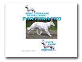 Fortunatus White Swiss Shepherd Dog