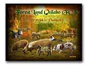 Forest Land Chilabo Border collie & shelties kennel