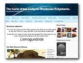 Lomagundyrob Rohodesian Ridgebacks