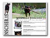 Muspells Kennel German Pinscher