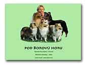pod Borovú horu Collie Rough, Shetland Sheepdog