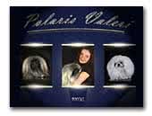 Polaris Valeri