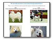 Polar Knight Samoyed