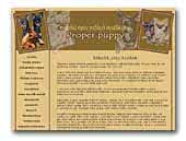 Proper puppy Prague Ratter
