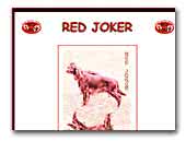 Red Joker - Irish Red Setter Kennel