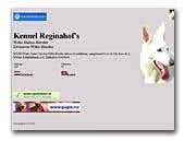 Witte Herder Kennel Reginahofs