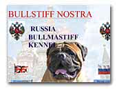 BULLSTIFF NOSTRA