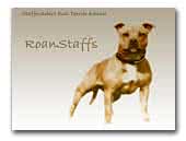 SBT kennel Roanstaffs