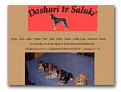 Dashuri të Salukis