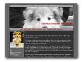 Satriblue Shetland Sheepdogs