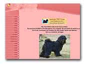 Seralung's Tibetan Terrier
