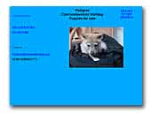 Shadowlandsbg Kennel