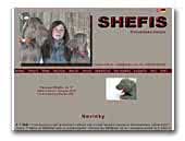 Shefis Weimaraners