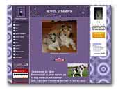 Strandvin Shetland Sheepdogs