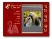 Saffron Sherhy shih-tzu & pug