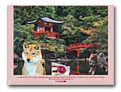Akita u Izis FCI - Akita & Shikoku Kennel