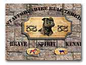 Brave Spirit Kennel Staffordshire bullterrier